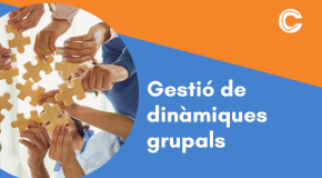 CURS PRESENCIAL: Gestió de dinàmiques grupals